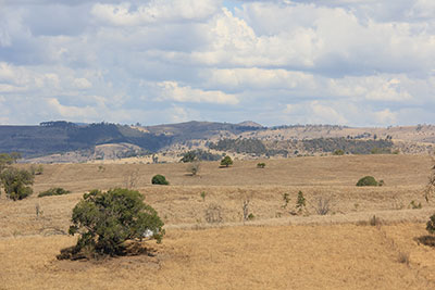 03-Collective-action-on-the-drought