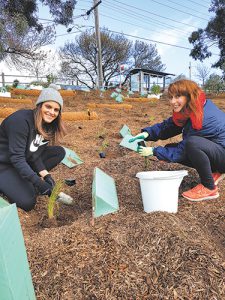 Council staff help environment