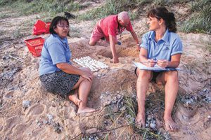 TurtleCare volunteers make a world of difference