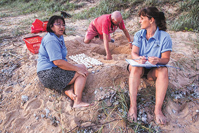03-TurtleCare-volunteers