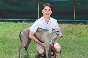 Adoption cuts animal euthanisation numbers