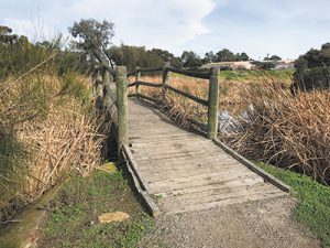 Age defying bridges
