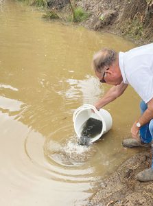 Restocking the rivers