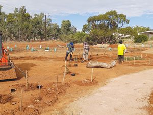 Bush tucker trail