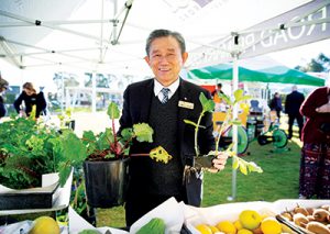 Sustainable living festival