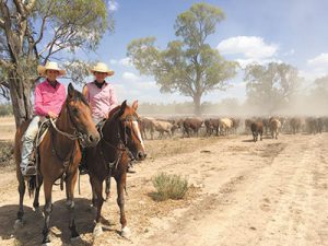 Stock routes dry up