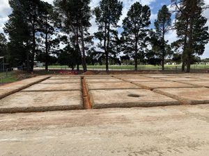 Sports redevelopment