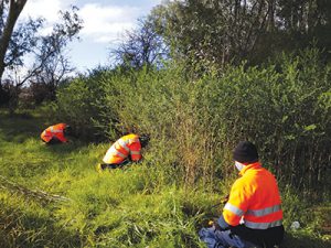 Bushland reserves improve biodiversity