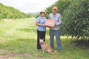 Growers become export ready