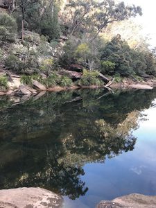 Smarter water management