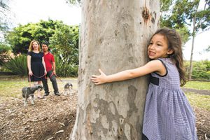 Sydney sprouts cool future