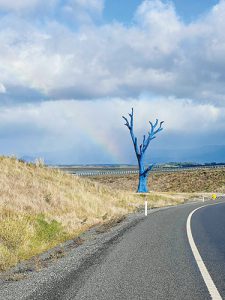 Community backs blue project