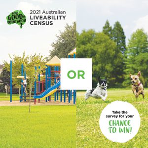 Playgrounds verses dog parks