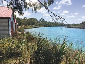 Community pushes for renewable energy