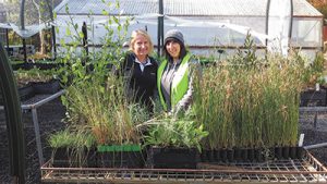 Nursery protects biodiversity