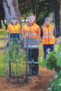 Growing a career in gardening