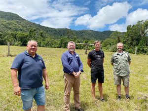Daintree land sale a boost for biodiversity