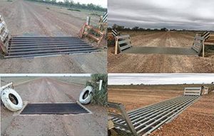 Grid program delivers for farmers