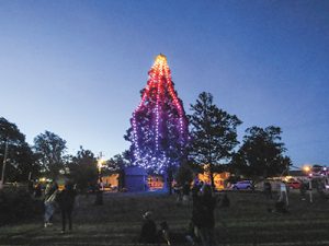 Putting the spotlight  on Longford