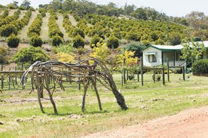 Regional collaboration drives tourism