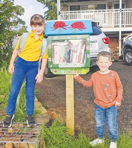 Kids’ street libraries are works of art
