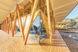 The benefits of wood in a circular economy*