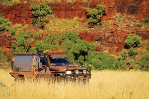 Online audience harnessed in 4WD series