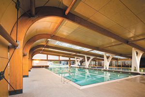 How wood can help councils to reduce carbon emissions and save money*