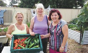 Community Garden set to GROW