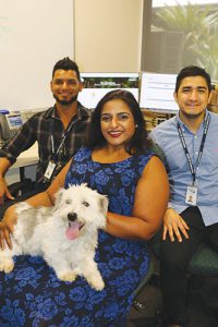 Online pet registration checks all the boxes