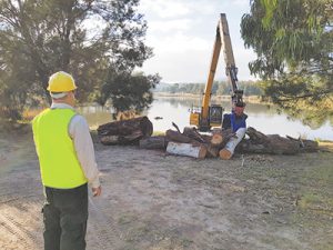 Pond becomes native sanctuary