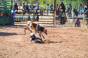 Rodeo success in remote town