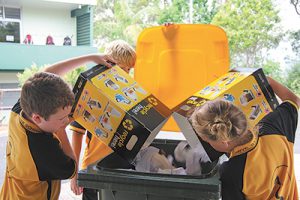Sustainability benchmarking report given green light