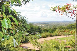 Appreciating our open spaces