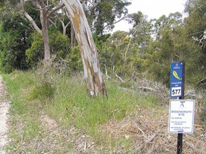 Environmental leadership in the Adelaide Hills