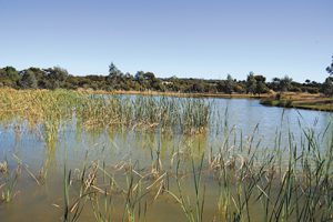 Harnessing stormwater