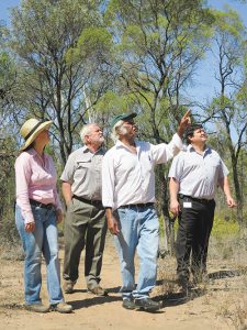 Tourism sights set on reserve