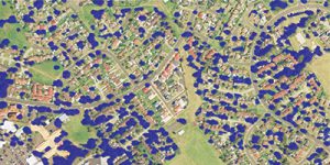 Eye in space maps tree health
