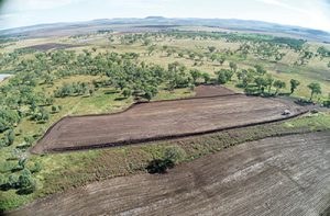 Landfill rehabilitation