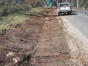 School based traineeships on offer