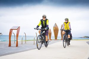 International cycling city