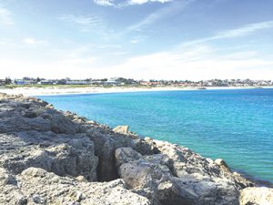 Funding boost for shark mitigation