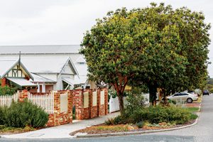 Support for verge gardens