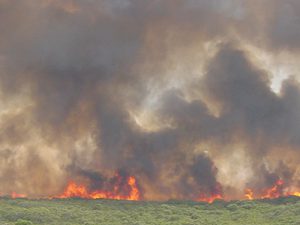Leading the way in bushfire mitigation