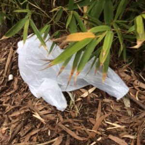 Plastic bags finally banned in the west