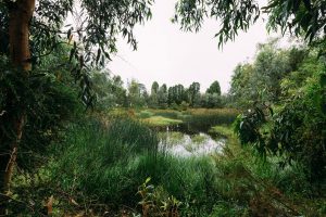 City of Boroondara wins Premier’s Sustainability Award
