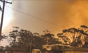 Lessons to learn from Black Summer bushfires*