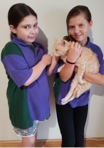 Shire rangers reunite cat with family 20 months later