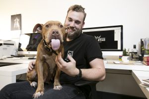 Social media helps rescue pets