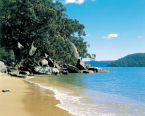 Where city meets country